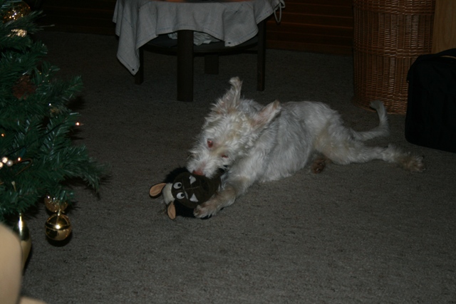 IMG_1381a.JPG