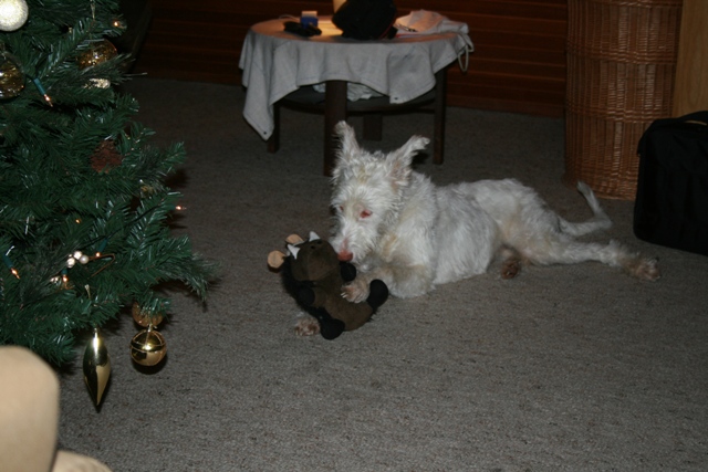 IMG_1382a.JPG