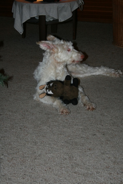 IMG_1383a.JPG