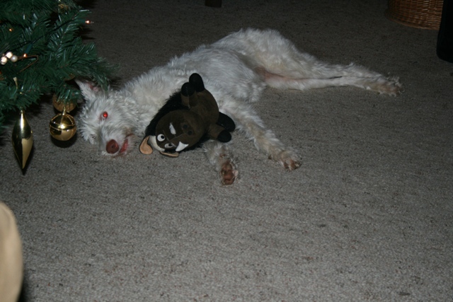 IMG_1384a.JPG