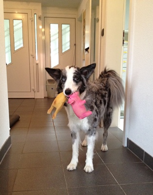 Mitch 13.06.2012 016 Zuschnitt 400.jpg