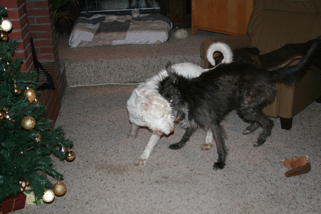 IMG_1389a.JPG
