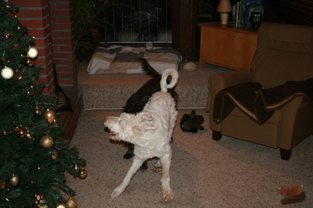 IMG_1391a.JPG