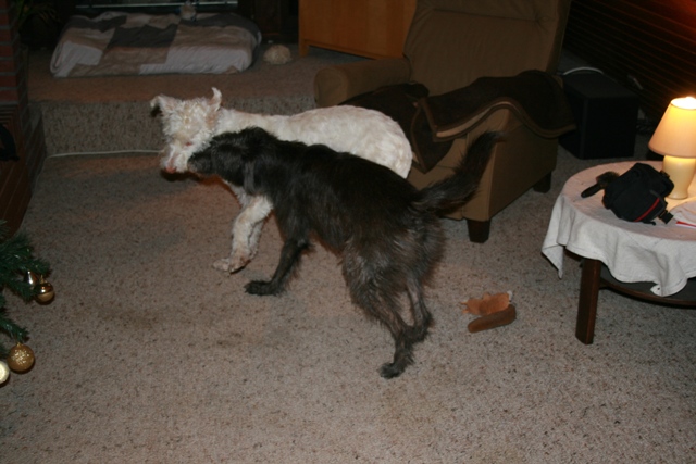 IMG_1393a.JPG