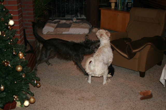 IMG_1396a.JPG