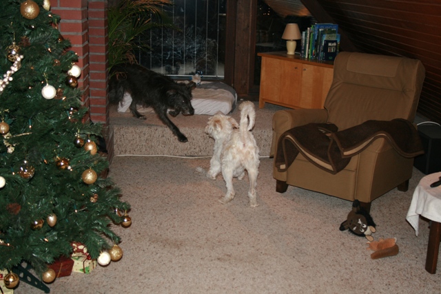 IMG_1398a.JPG