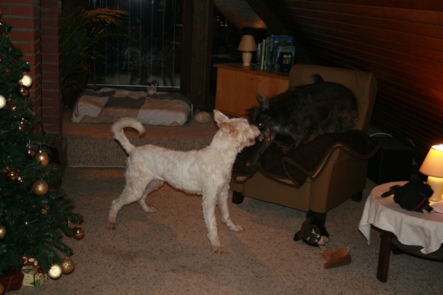 IMG_1399a.JPG