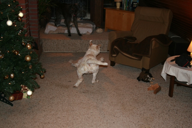 IMG_1402a.JPG