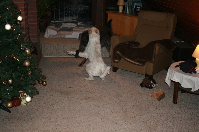 IMG_1403a.JPG