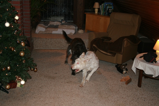 IMG_1405a.JPG