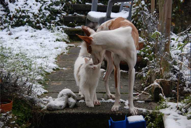 DSC_2229.JPG