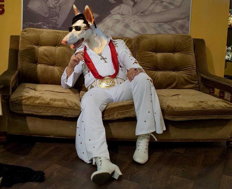 P-Elvis.jpg