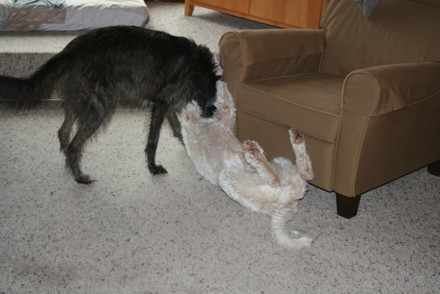 IMG_1425a.JPG