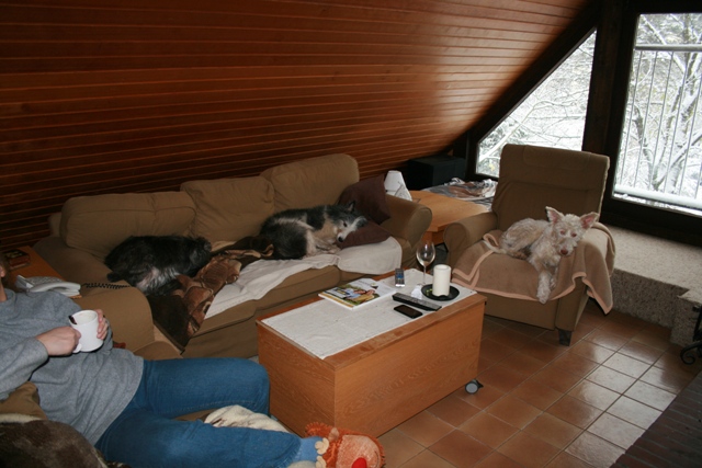IMG_1431a.JPG