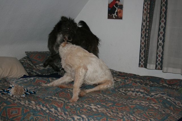 IMG_1474a.JPG