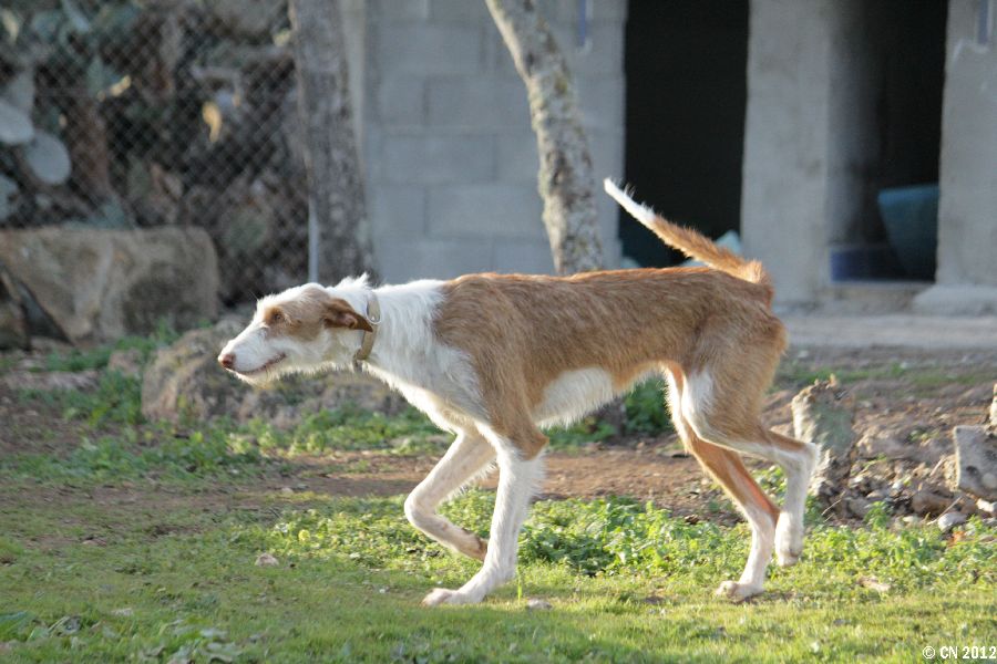 900_IMG_3805.jpg