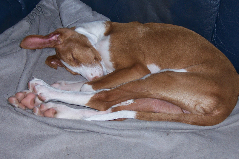 2012-12-14 002.JPG