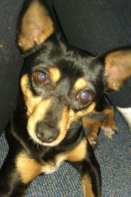 Tasha.3.jpg