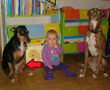 K640_Lilly- AUA.jpg.JPG