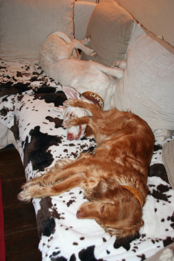januar_13_ 008.jpg