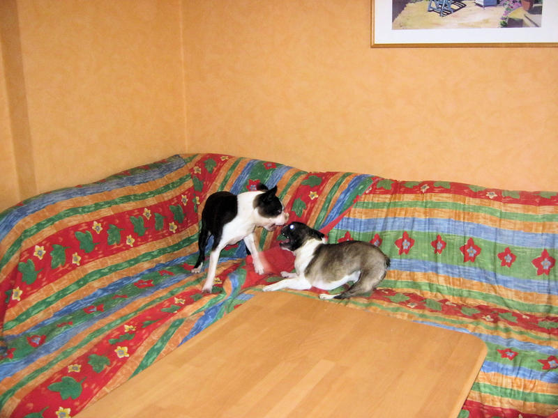 abendstund1.jpg