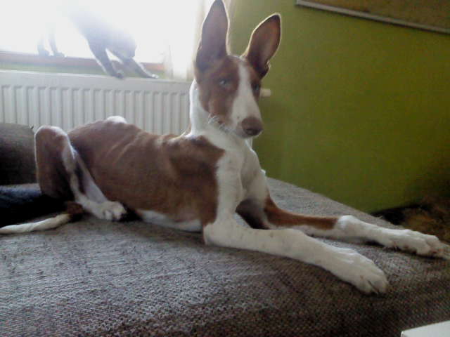 DSC00101.JPG