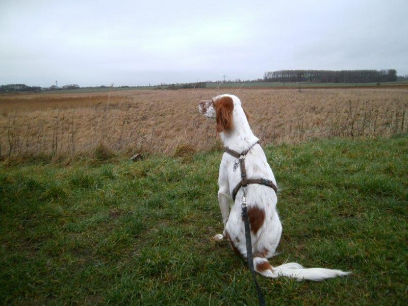 PICT0091.JPG