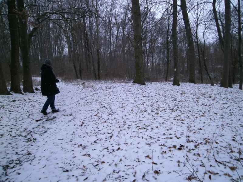 PICT0122.JPG