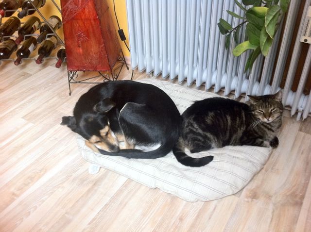 Bild 11.jpg
