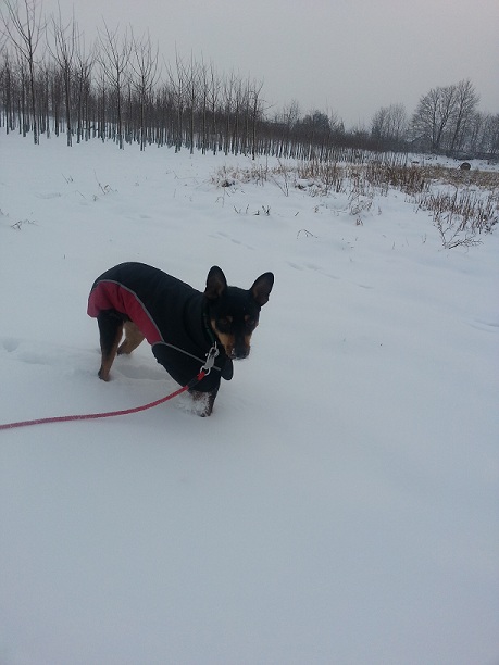 20130116_162349.jpg