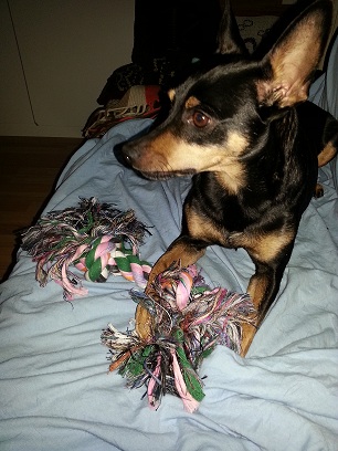 20130113_155013.jpg