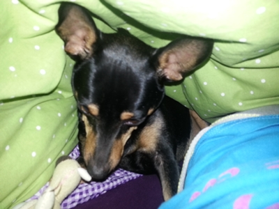 20130124_075727.jpg