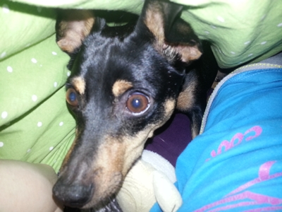 20130124_075736.jpg
