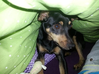 20130124_075842.jpg