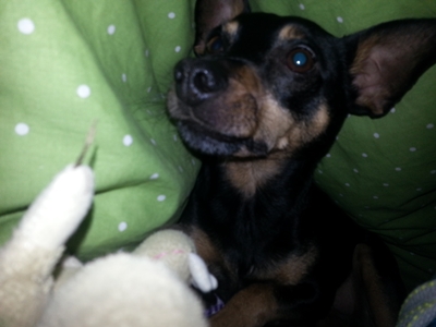 20130124_075912.jpg