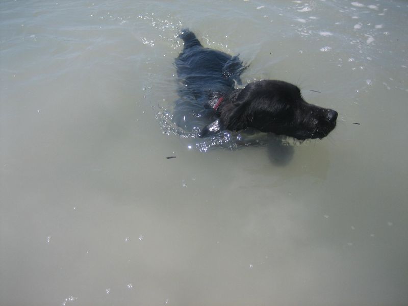 Bild 396.jpg