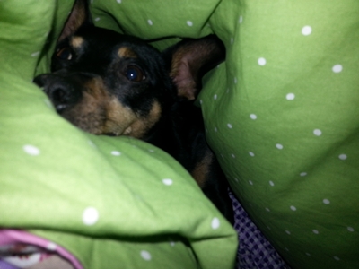 20130126_091951.jpg