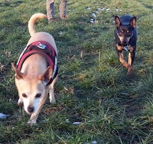20130128_161615.jpg