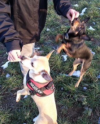 20130128_161642.jpg