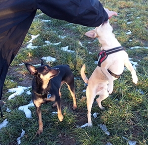 20130128_161707.jpg