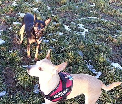 20130128_161715.jpg