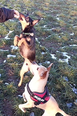 20130128_161726.jpg