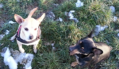 20130128_161755.jpg