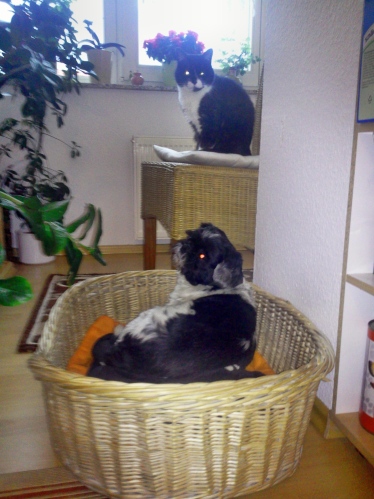 Foto0085.jpg