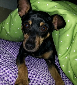 20130128_215538.jpg