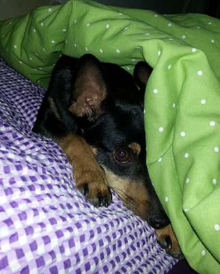 20130128_215715.jpg