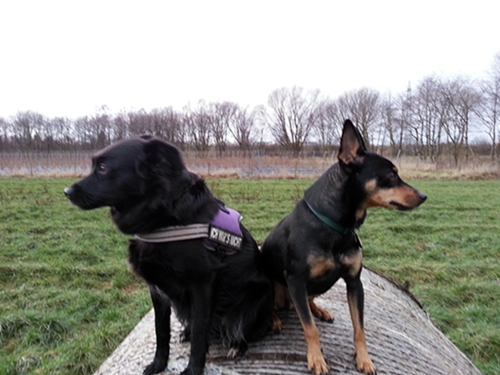 20130129_163759.jpg