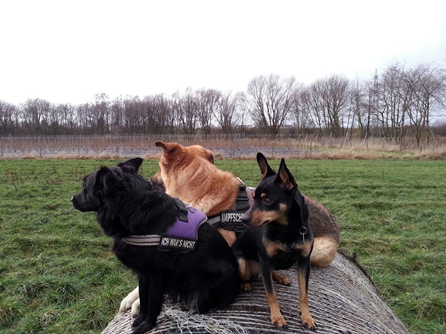 20130129_163814.jpg