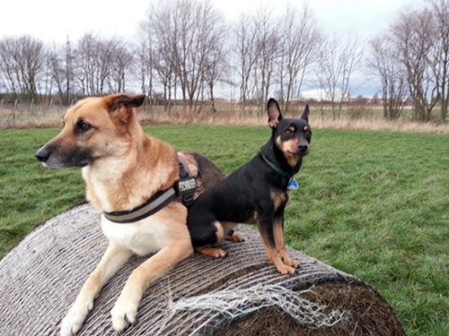 20130129_163822.jpg