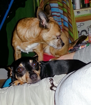 20130130_214033.jpg